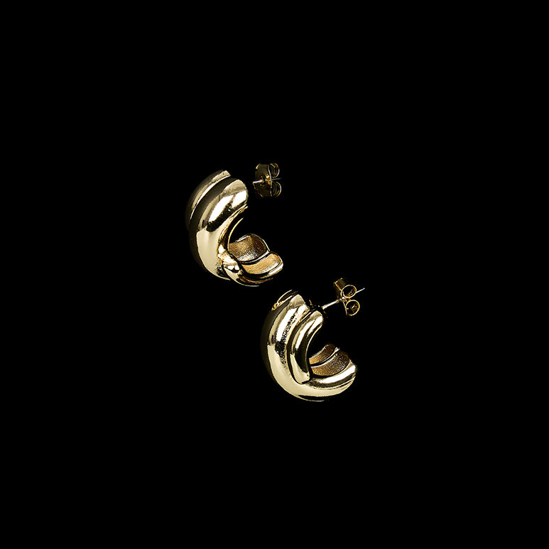 AJ-6521 Earrings