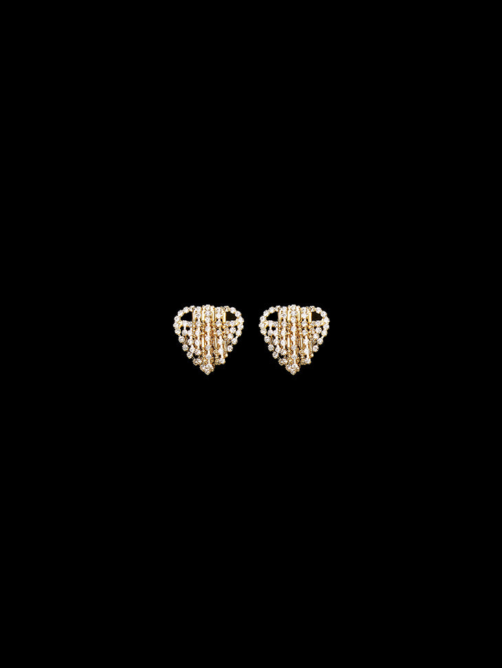 AJ-6504 Earrings (Silver 925)